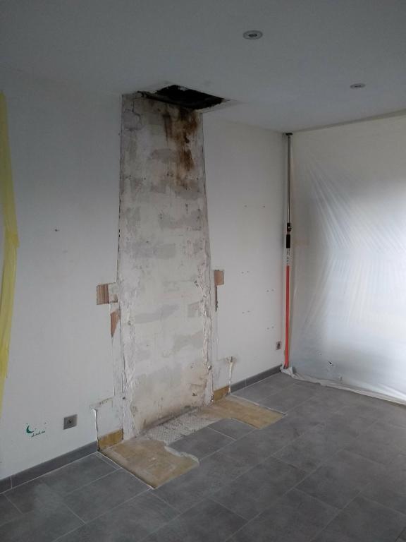 Samuel Fossey - Po�le � granules COLA Vision